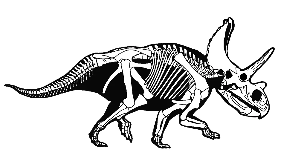 Historical Agujaceratops skeletal restoration published in 2010.