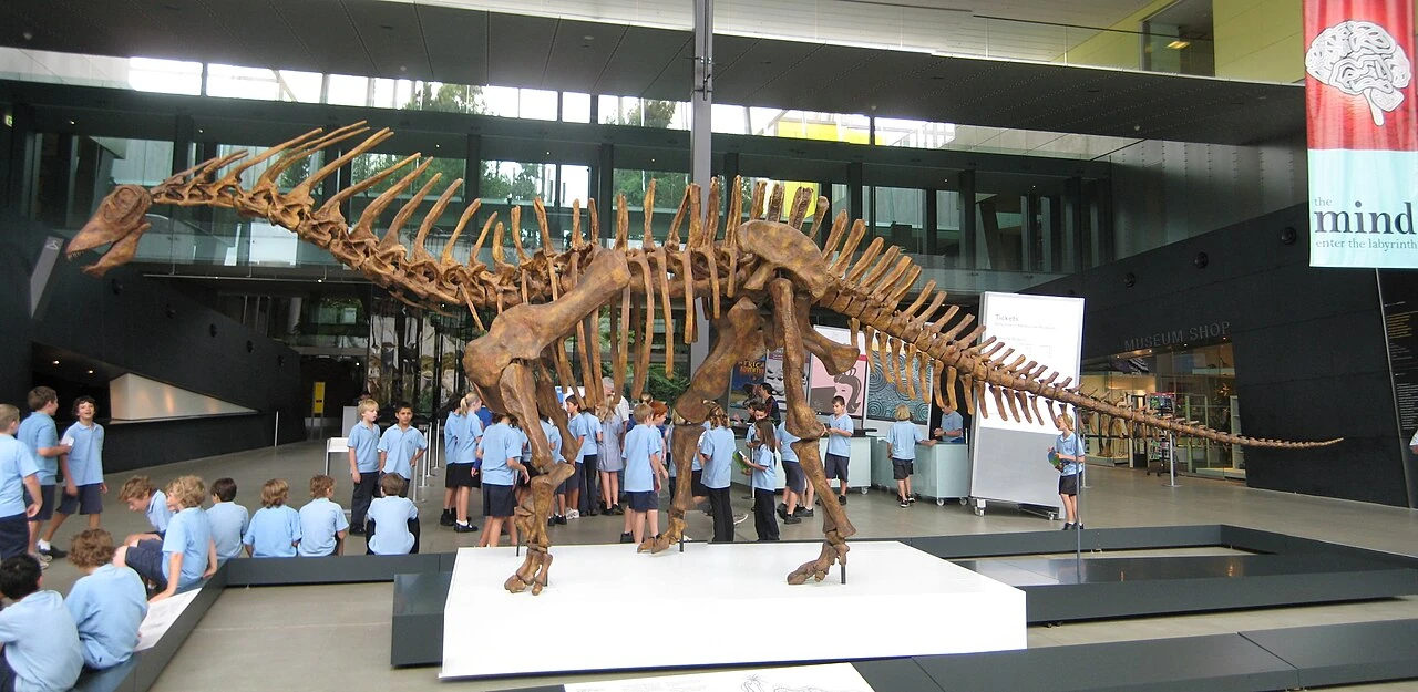 Photograph of an Amargasaurus skeletal mount, showing paired tall neck spines.