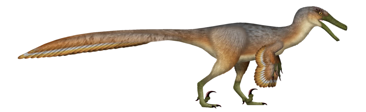 Side-view life reconstruction of Austroraptor cabazai showing its long low snout and short arms with reconstructed feathers.