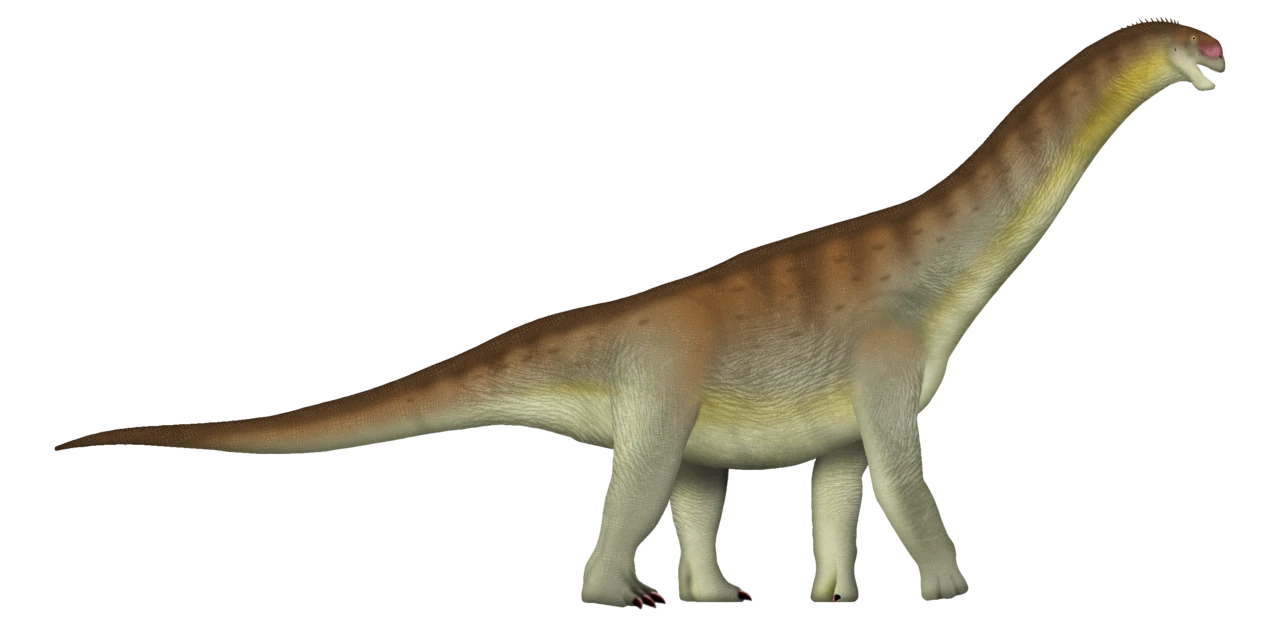 Side-view life reconstruction of Camarasaurus supremus, with a boxy head and four supporting legs.