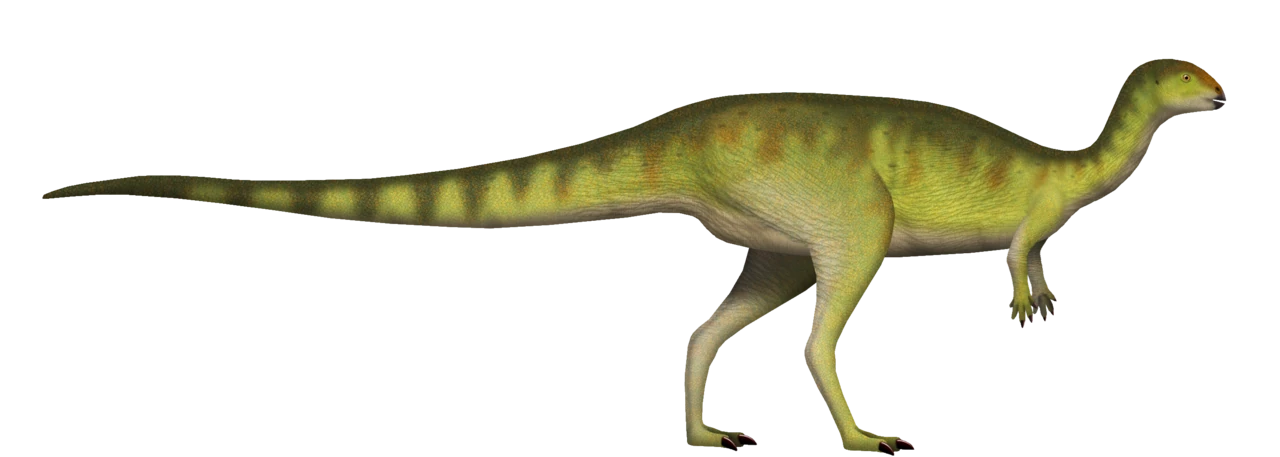 Side-view life reconstruction identified by its creator as Dryosaurus altus.