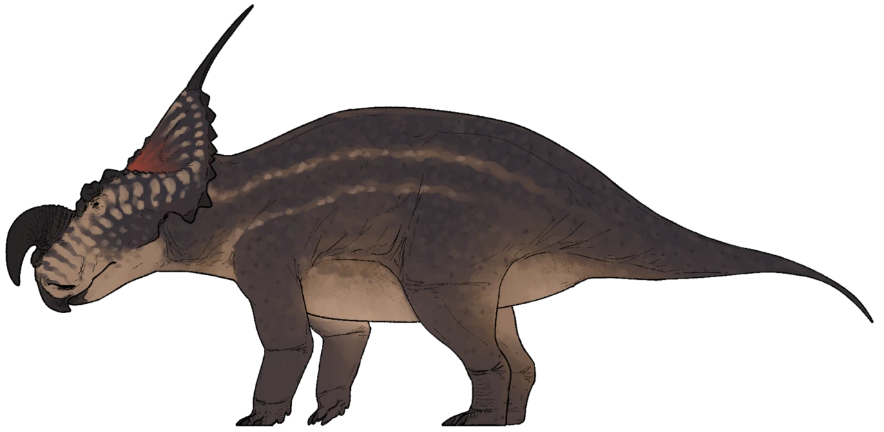 Side-view reconstruction of Einiosaurus with a forward-curved nasal horn and long paired frill spikes.