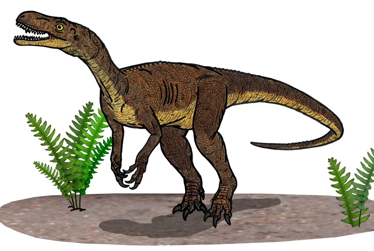 Life reconstruction of Eodromaeus murphi with an open mouth, clawed hands and two-legged stance beside illustrated ferns.