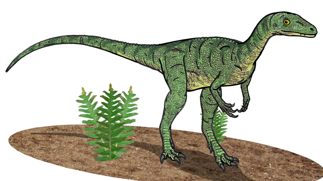 Life reconstruction of Eoraptor lunensis standing on two legs beside illustrated ferns.
