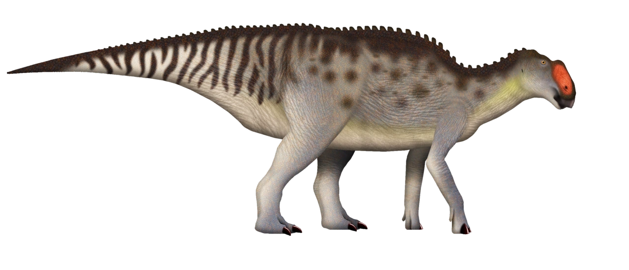 Life reconstruction of Gryposaurus monumentensis with a deep skull and rounded nasal arch.