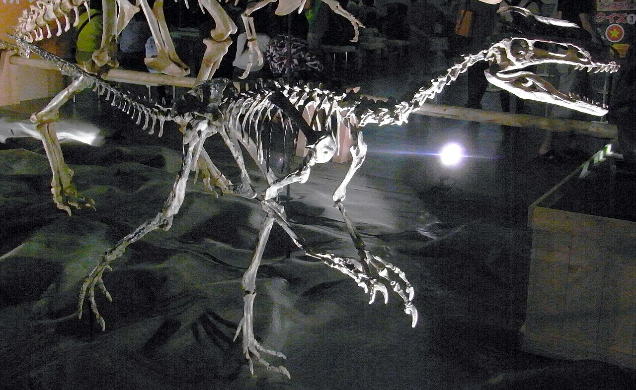 Guanlong wucaii museum skeletal reconstruction, showing the median crest and long three-fingered forelimbs.