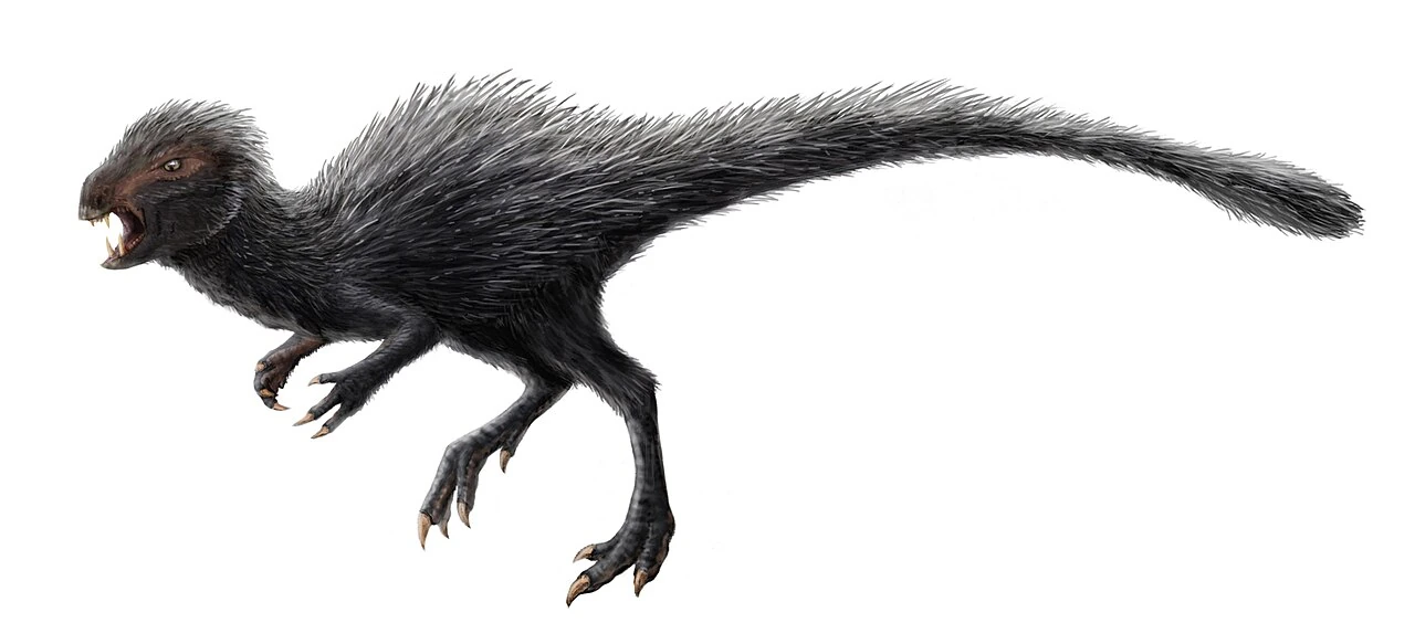 Heterodontosaurus tucki life reconstruction with an open mouth, tusk-like teeth and a dark bristly body covering.