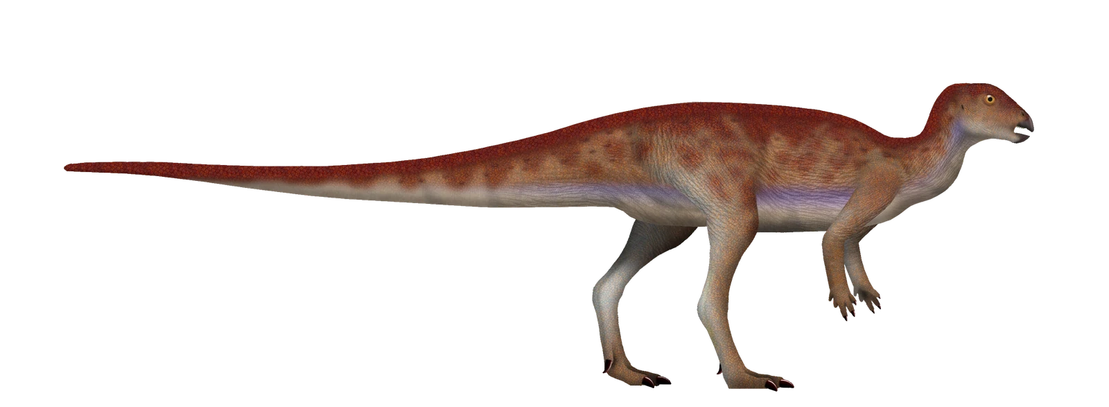 Side-view life reconstruction of Hypsilophodon foxii, with long hind limbs and a long tail.