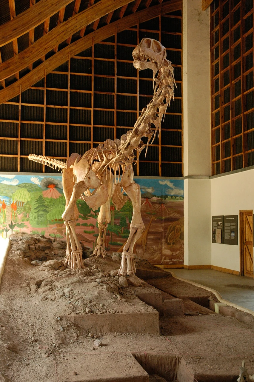 Reconstructed Malawisaurus skeletal mount at Karonga, Malawi.