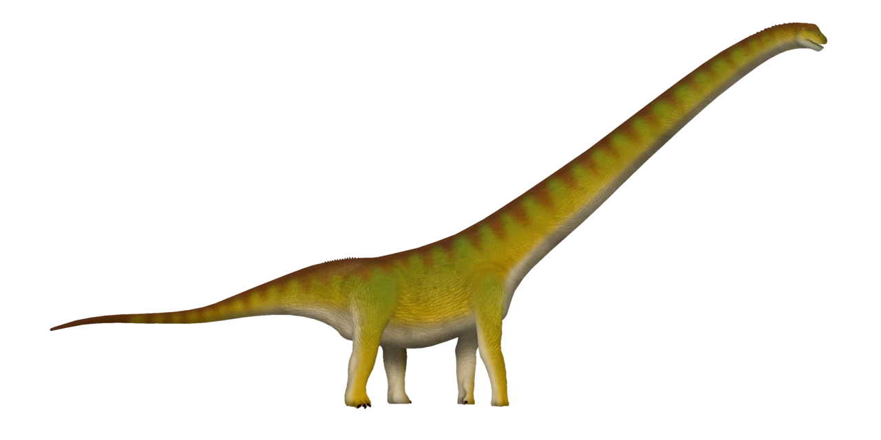 Side-view life reconstruction captioned by the creator as Mamenchisaurus youngi.