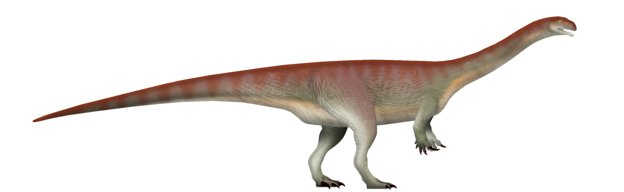 Side-view life reconstruction of Massospondylus carinatus with a long neck, a small head and raised forelimbs.
