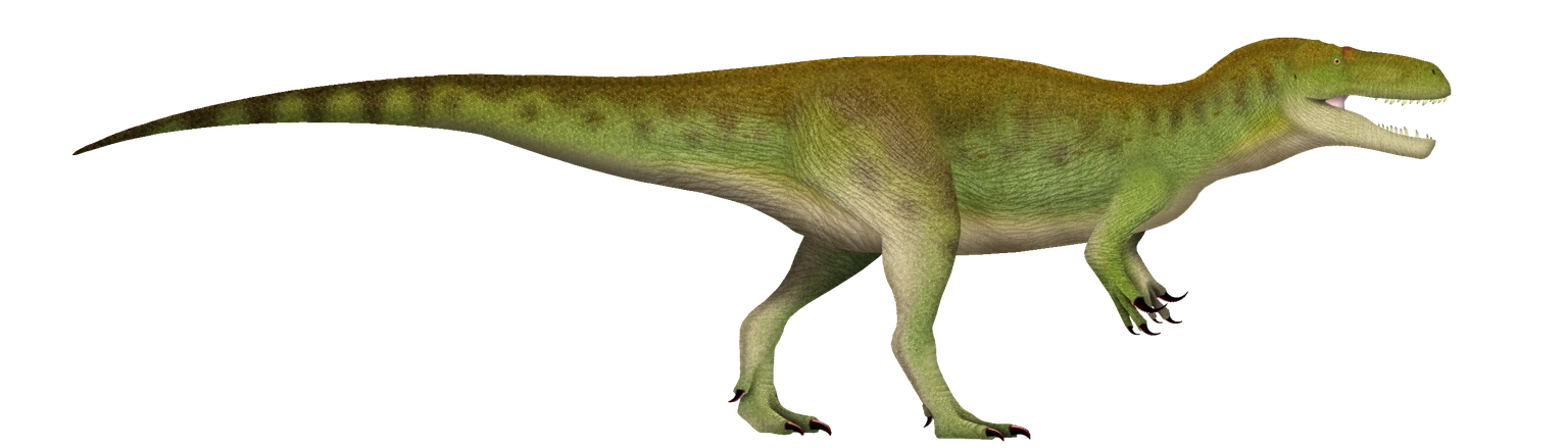 Side-view life reconstruction of Megalosaurus bucklandii with a long tail, three-fingered forelimbs and green-brown skin.
