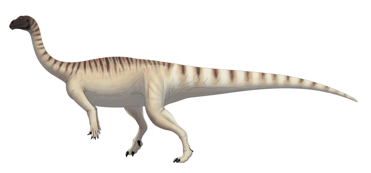 Adult Mussaurus patagonicus life reconstruction with a long neck and tail, short forelimbs and a two-legged stance.