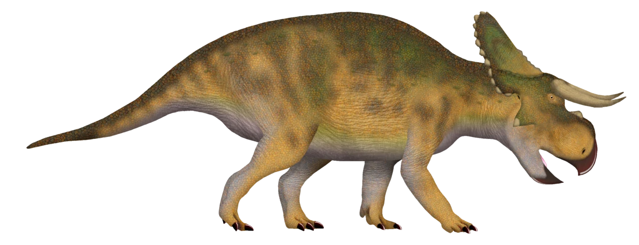 Side-view reconstruction of Nasutoceratops titusi with a broad snout, forward-curving brow horns and a rounded frill.