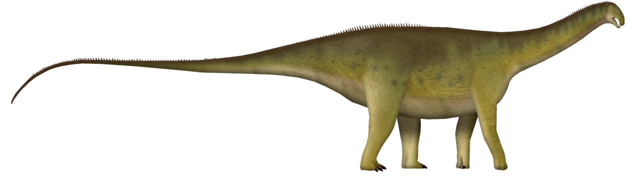 Side-view life reconstruction of Nigersaurus with a long tail, short neck and broad muzzle.