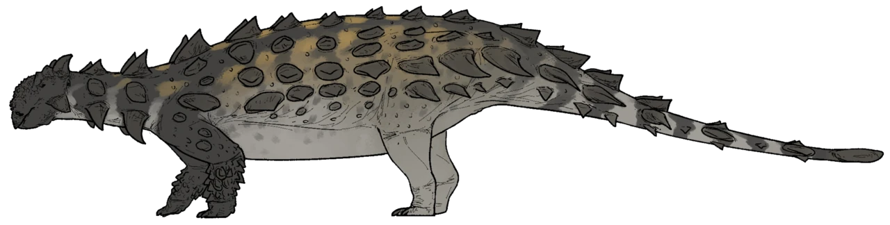 Side-view life reconstruction of Pinacosaurus grangeri showing a low armored body, long tail and four supporting legs.