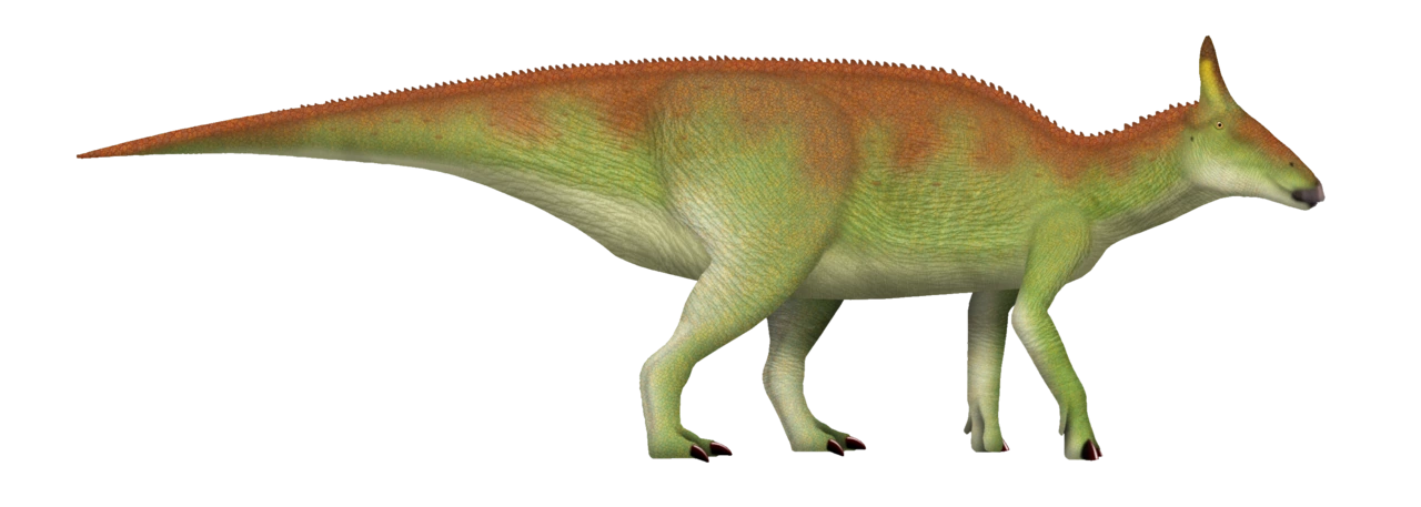 Life reconstruction of Saurolophus osborni with a short backward-pointing solid crest.