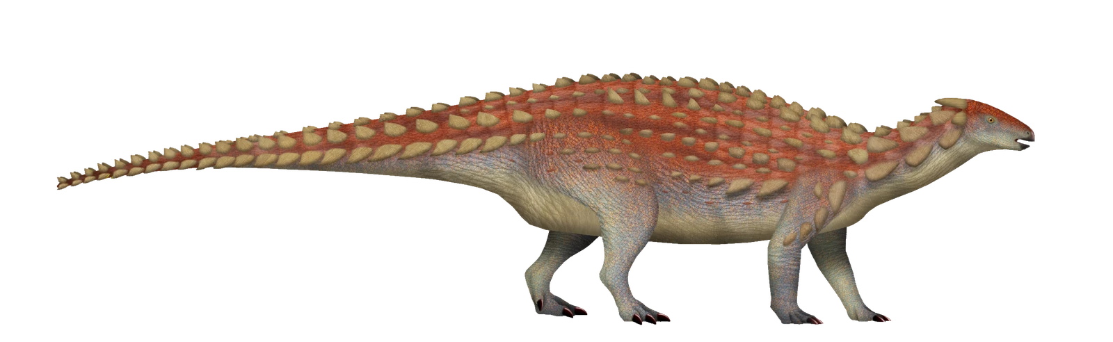 Scelidosaurus harrisonii reconstructed in side view with rows of bony armour.