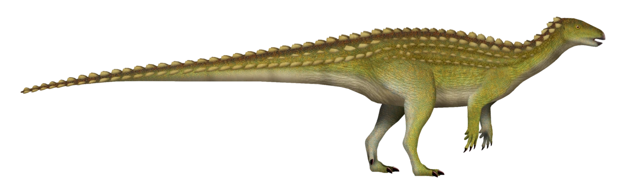 Life reconstruction of Scutellosaurus lawleri standing on two legs with small bony scutes and a long tail.