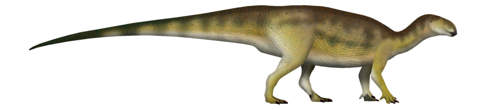Life reconstruction of Tenontosaurus tilletti with a small beaked head and very long, deep tail.