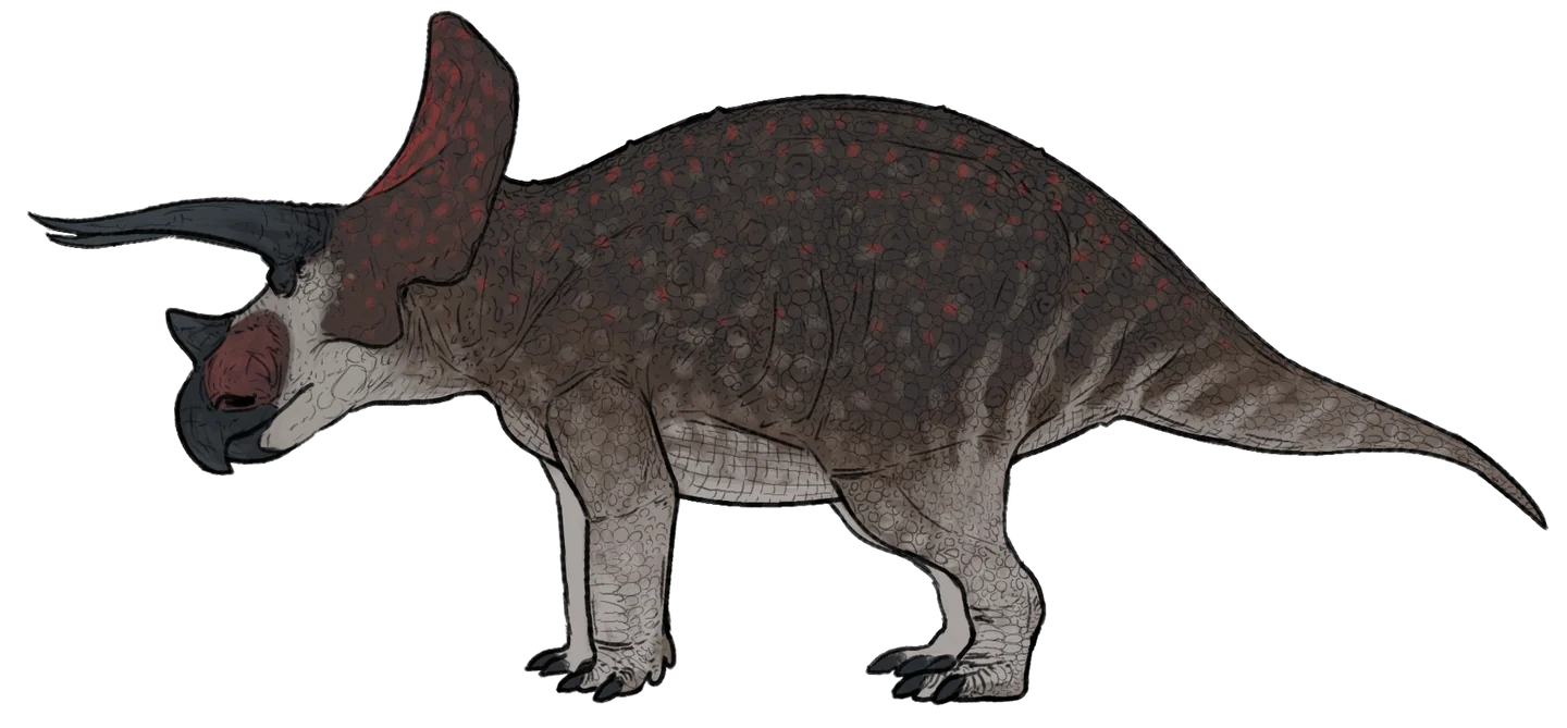 Triceratops in side view on four legs, with two long brow horns, a nose horn and a broad red-gray frill.